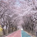 서울아산병원(공영주차장 입구) 이미지