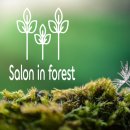 시드니PC방 원주혁신점 | [회기 미용실] 살롱인숲 본점