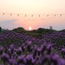 장생포로 이미지