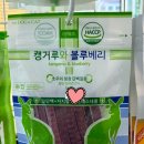 캥거루동물병원 이미지