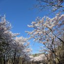 동화파크모텔 이미지