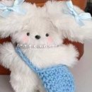 복슬강아지 이미지