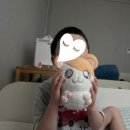 후와네일 | 후류 방가방가 햄토리 인형 / 후와잡화점 어린이날 생일 선물 햄스터 인형 구매 후기