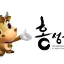 홍성한우 이미지