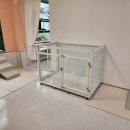 아이뽀 애견 유치원 호텔 이미지