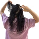 지성솔루션 | 오후만 되면 기름지는 지성 두피… 아베다 스칼프 솔루션 미스트 사용 내돈내산후기