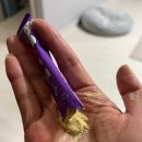 뱅갈냥이 | 제품후기 | 살빼냥, FITPET 고양이유산균 체중관리템