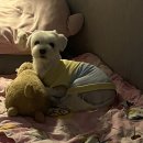 행복만줄개 이미지