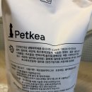 펫케아 이미지