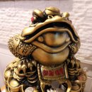 미 앤 스포츠 이미지