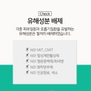 아이루미가 이미지