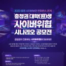 사이버 이미지