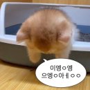 왜 벌써 6월이야 ?