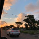 러블리독스 이미지