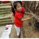 정우목장 이미지