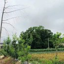 향남읍사무소 이미지