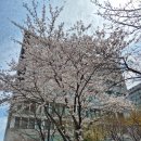 건대입구역사거리(05232) 이미지