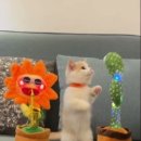 깐돌이PC 네이버블로그