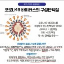 코로나바이러스 CT값에 관한 썰 이미지