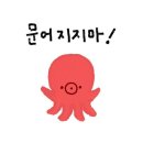 문어(🐙)지지마요