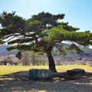 초원의 언덕 이미지