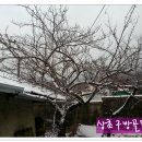 대한농장 이미지