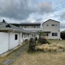 온온종달 이미지