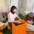 차이나연경 이미지