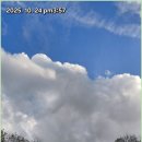 건승유통 이미지