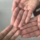 별고을 오토캠핑장 이미지