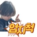현이양이 이미지