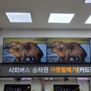 종가로(6)R | 두.. 쫀쿠 아니고 두번째 달 (2월) 일기