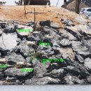 3공단2로-17 이미지