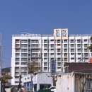 호야자판기 | [여수 숙소 추천] 여수 가성비 호텔 찾을때, 애견동반호텔 호야스테이