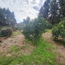 서홍동-13 이미지