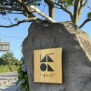 올레요리조트 | [제주 서귀포시] 바다연 내돈내산 후기 | 제주 서귀포시 풀빌라 추천