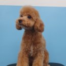 멍 삼촌 이미지