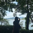 마창대교 옆 이미지