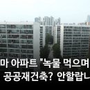 은마 아파트 "녹물 먹으며 40년... 공공재건축? 안할랍니다" 이미지