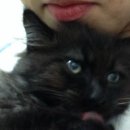 그루밍 타임 이미지