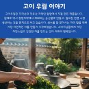 고이축산 네이버블로그