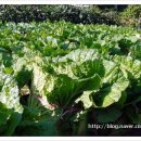 낙천농장 이미지