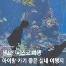 캘리포니아 | 샌프란시스코 여행 캘리포니아 과학 아카데미 후기, 아이랑 가기 좋은 실내 여행지