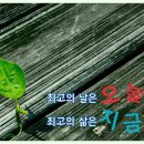 명심보감 이미지