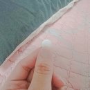프레쉬랩 | 구강유산균, 잇몸유산균] 랩온랩 구강유산균 오라프레쉬 후기