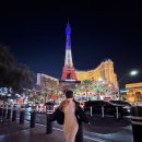 라스베가스 | 여자혼자 라스베가스 여행 후기