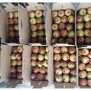 삼호농장4 이미지