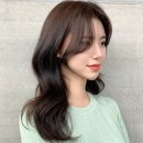 헤어넘버원 Daum카페