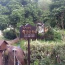 숲속계곡 쉴만한물가 이미지