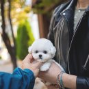 수원-0871 이미지